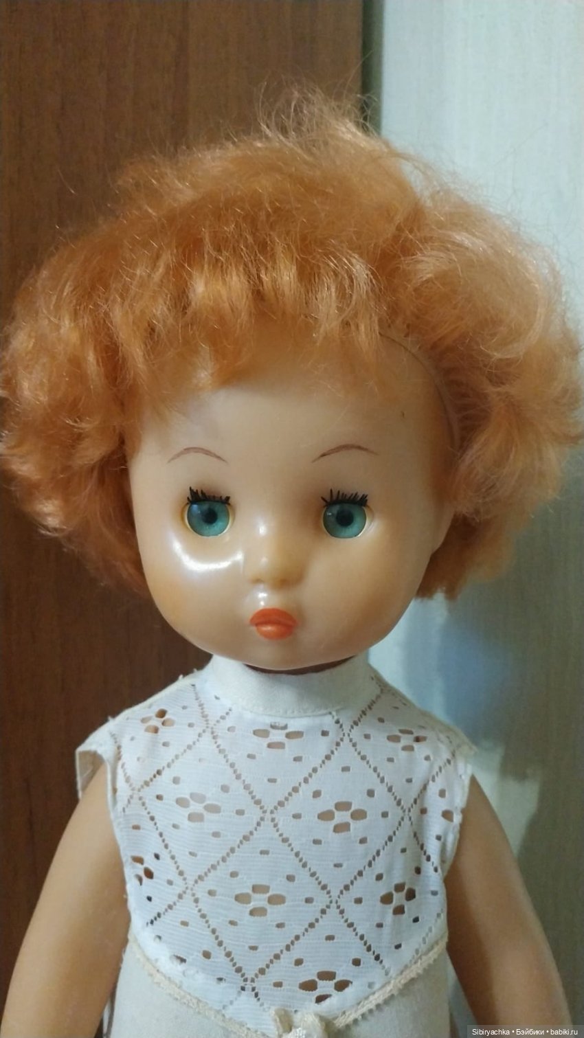 Рыжики из далёкого прошлого