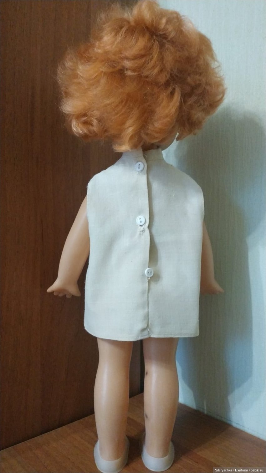 Рыжики из далёкого прошлого