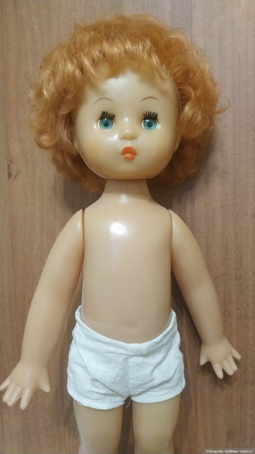 Рыжики из далёкого прошлого