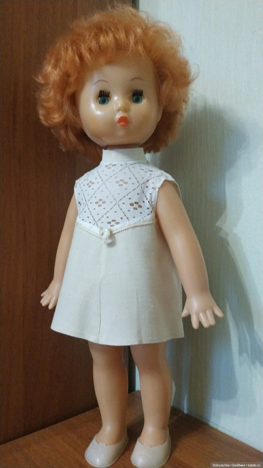 Рыжики из далёкого прошлого (фото 9)