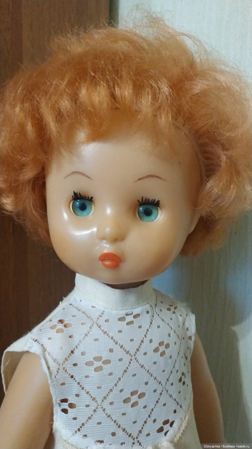 Рыжики из далёкого прошлого (фото 5)