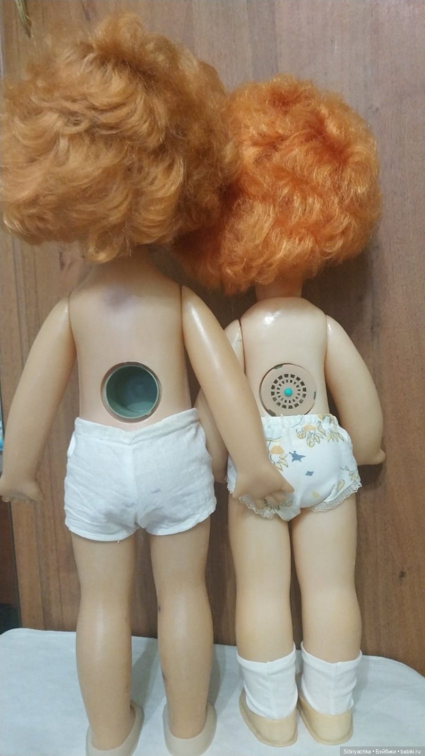 Рыжики из далёкого прошлого