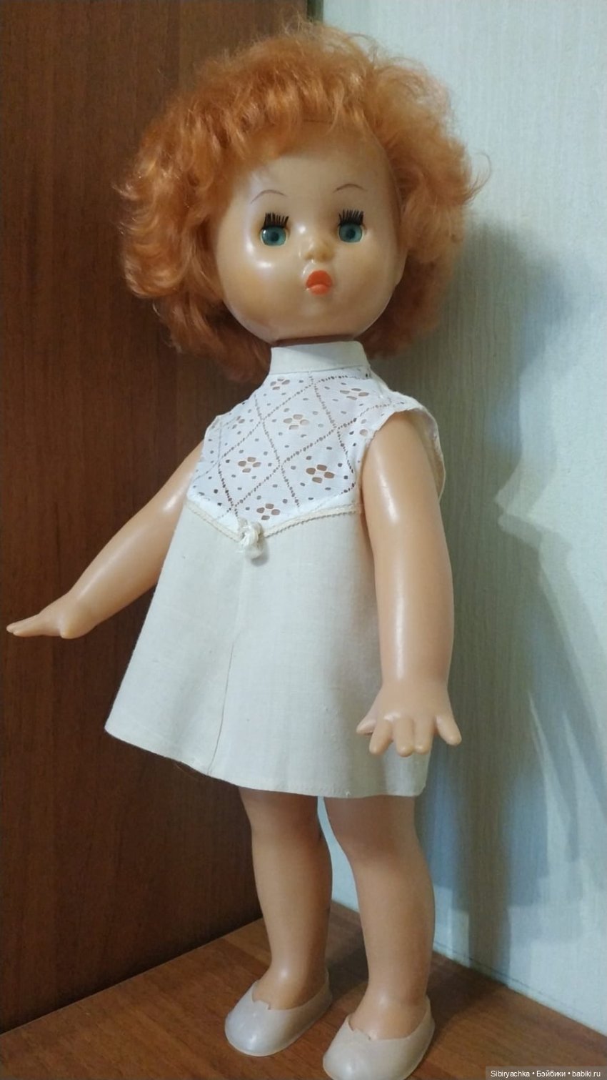 Рыжики из далёкого прошлого (фото 10)