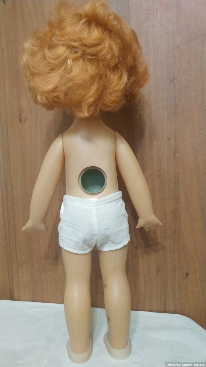 Рыжики из далёкого прошлого