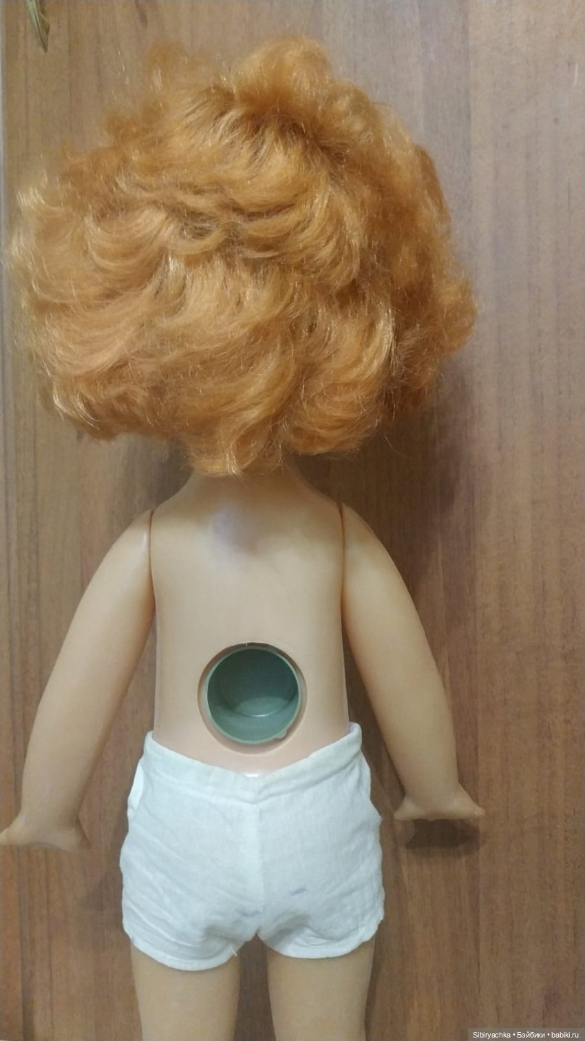 Рыжики из далёкого прошлого