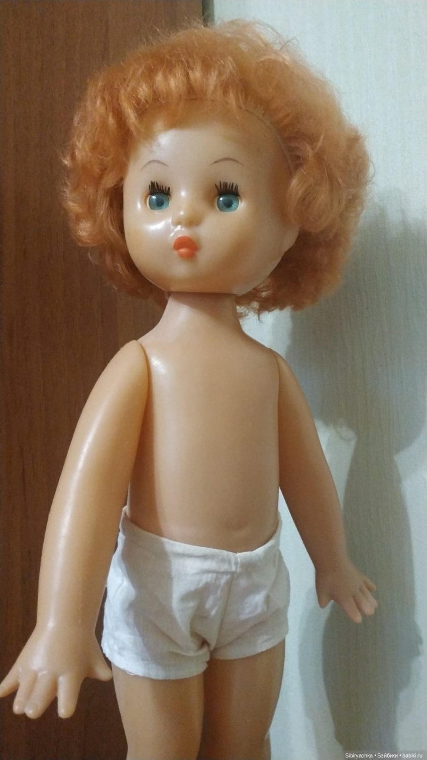 Рыжики из далёкого прошлого