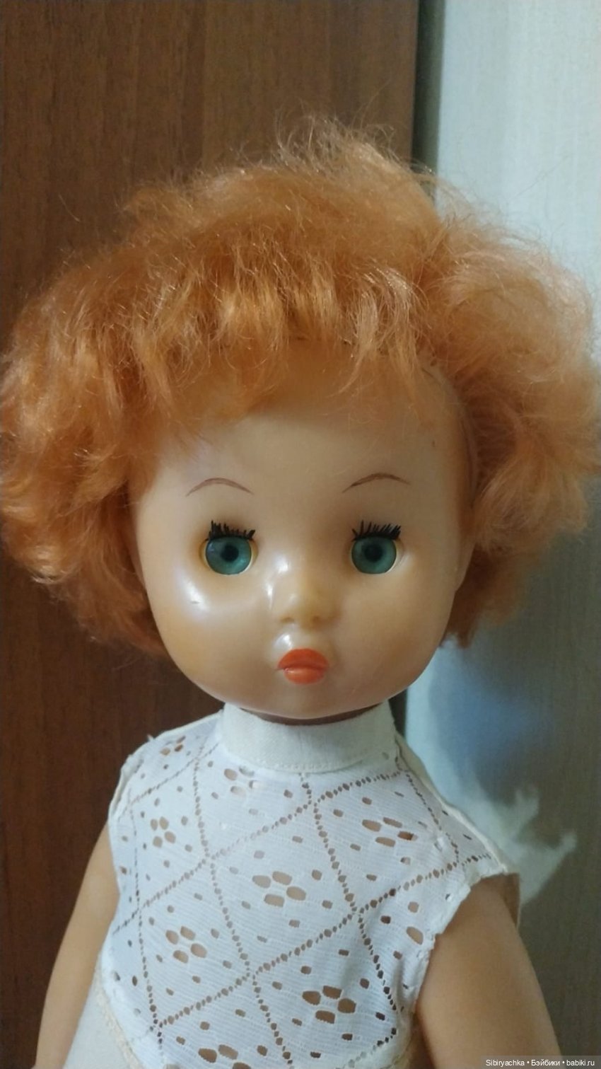 Рыжики из далёкого прошлого (фото 3)