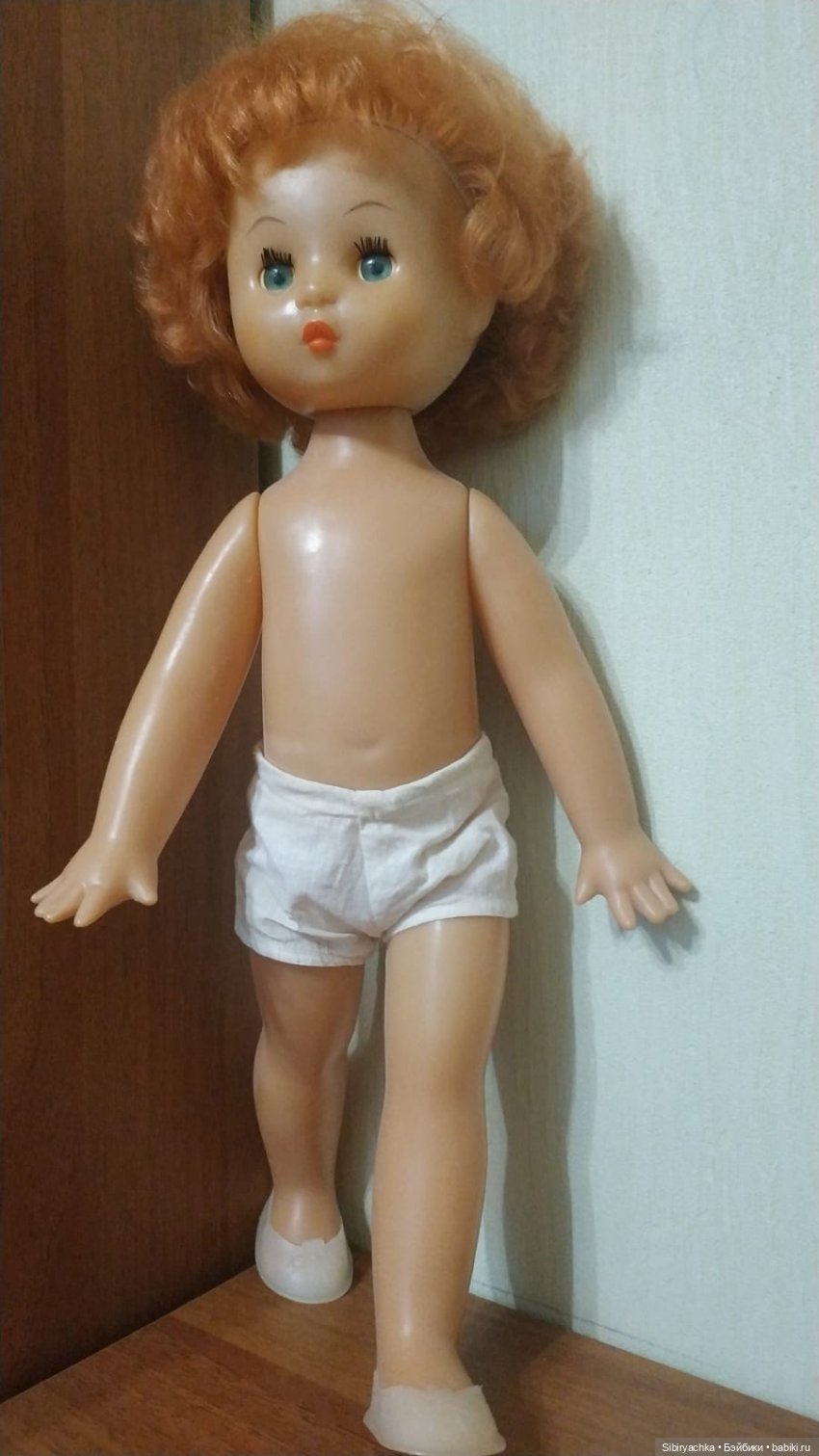 Рыжики из далёкого прошлого