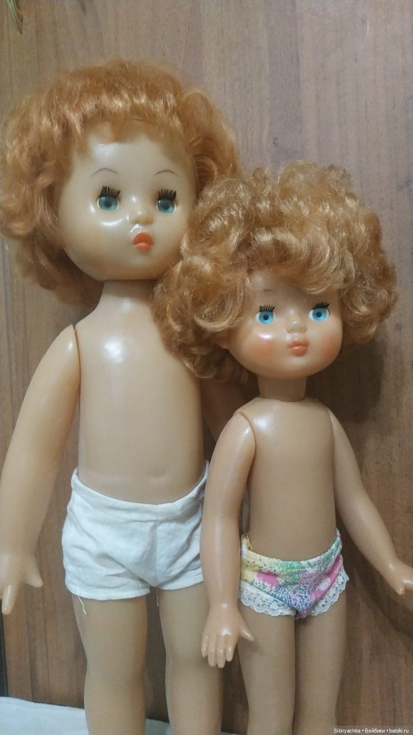 Рыжики из далёкого прошлого