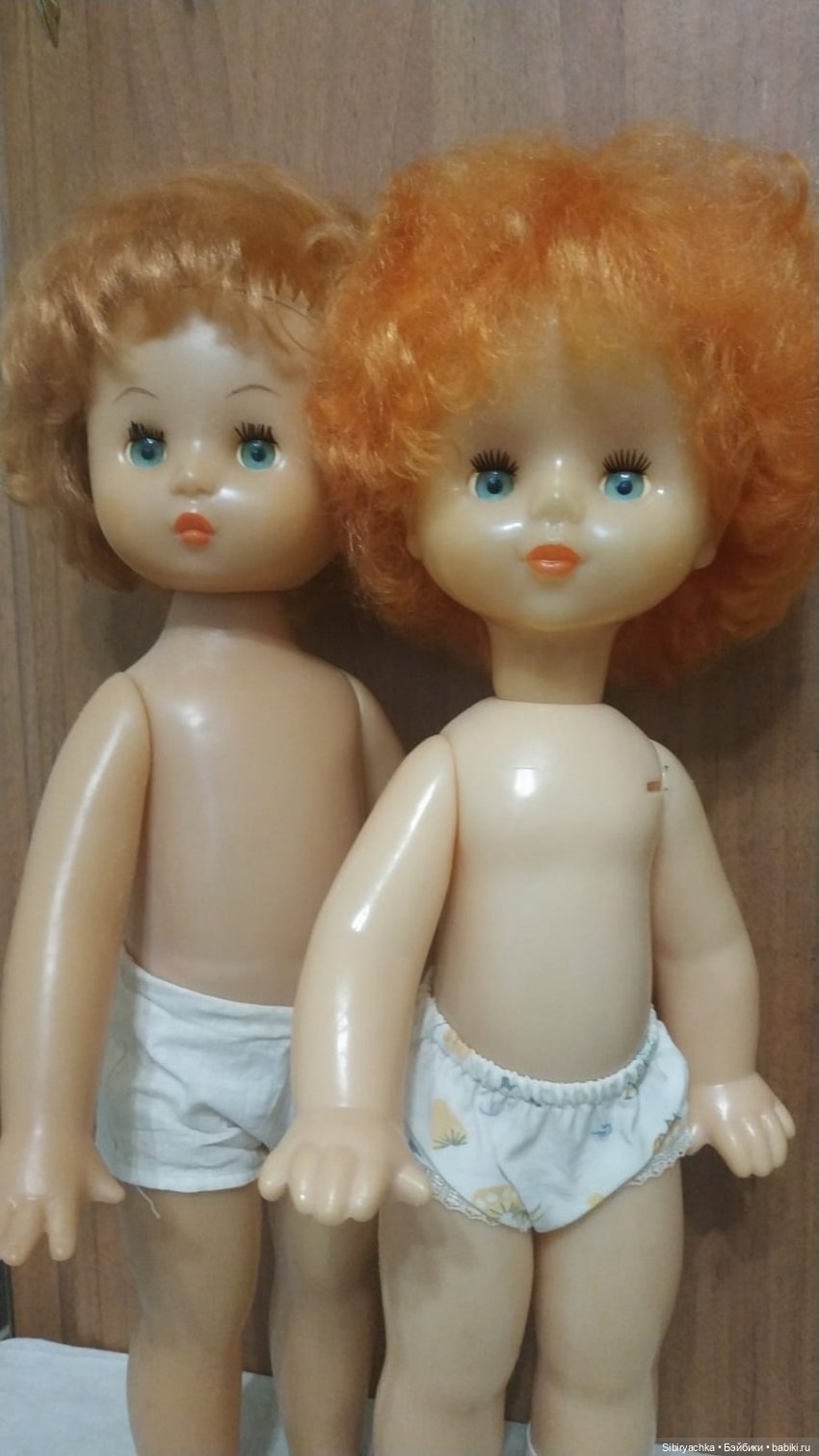 Рыжики из далёкого прошлого