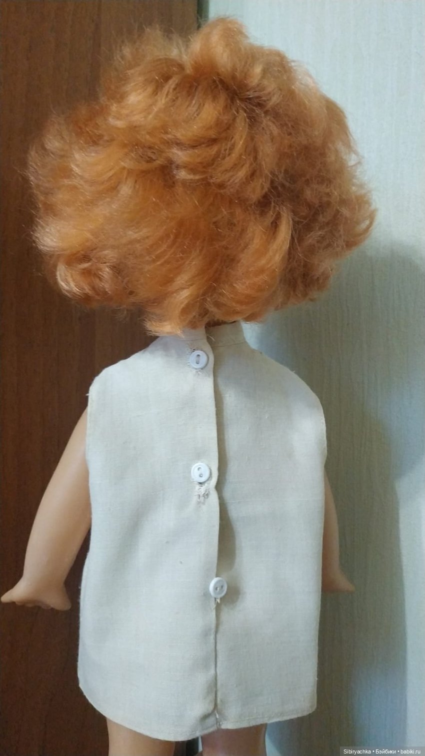 Рыжики из далёкого прошлого