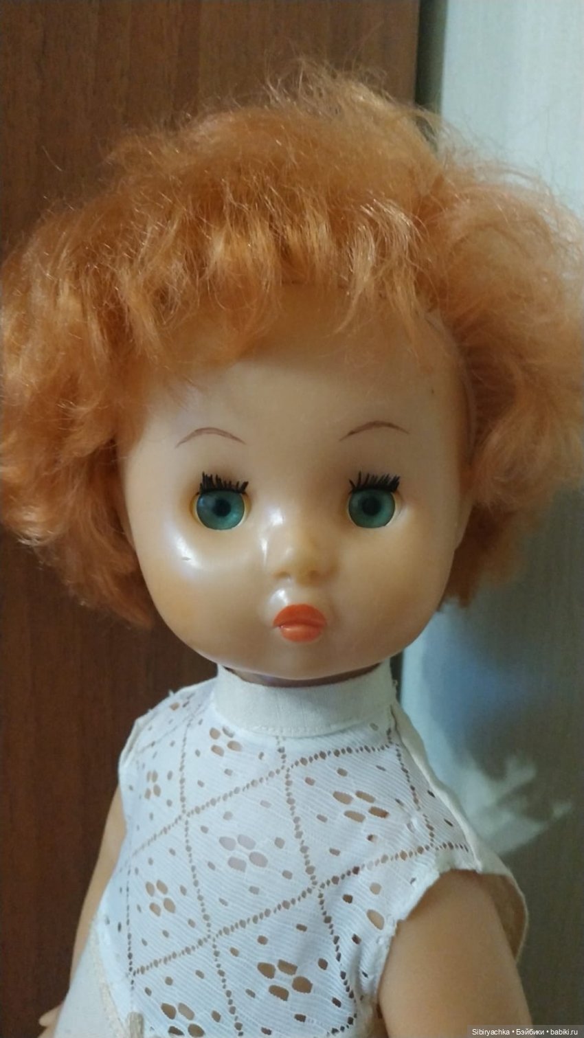 Рыжики из далёкого прошлого (фото 4)