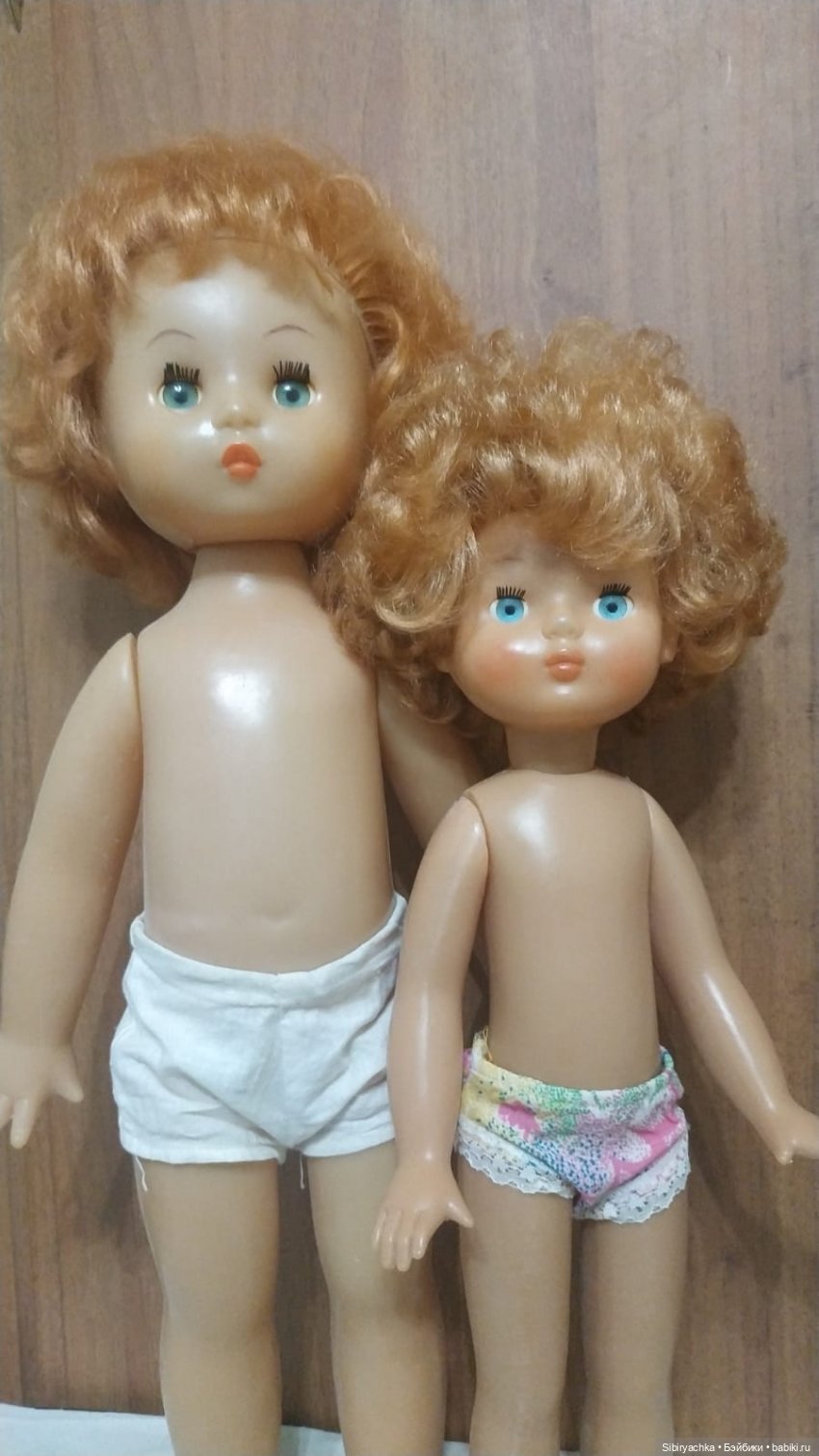 Рыжики из далёкого прошлого