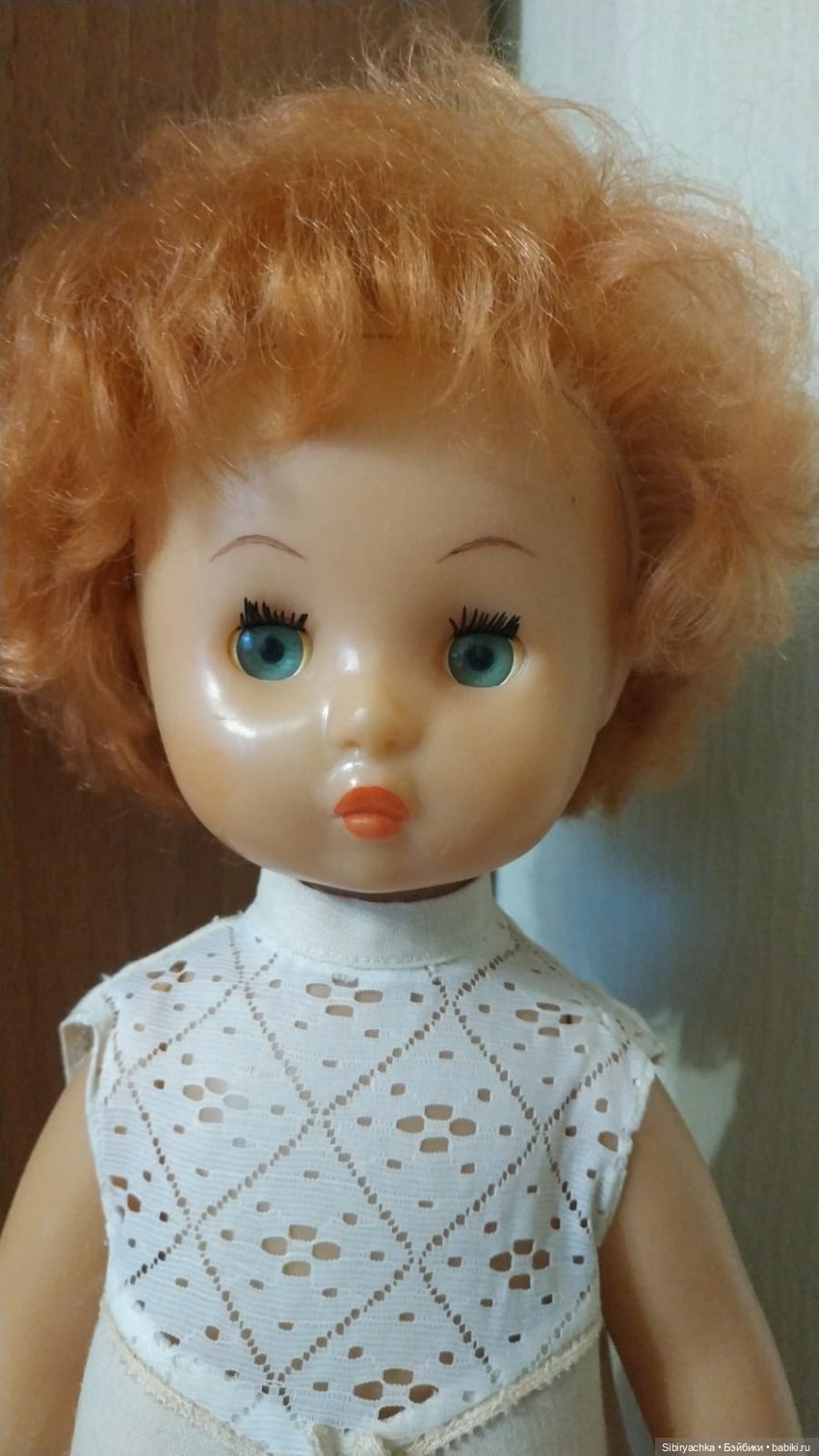 Рыжики из далёкого прошлого (фото 2)