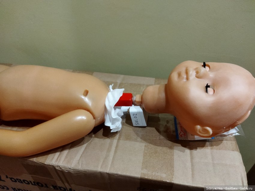 Начало новой жизни у Даши