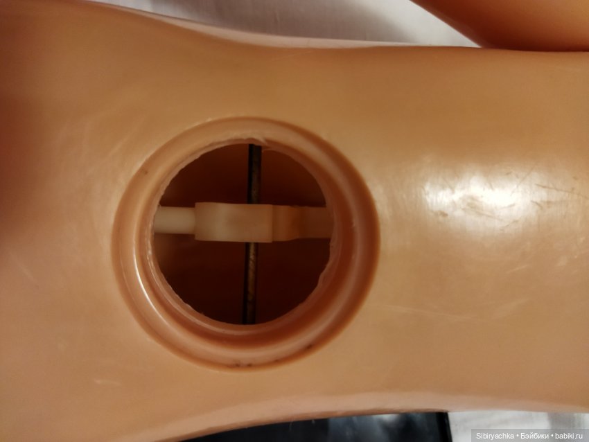 Начало новой жизни у Даши (фото 10)