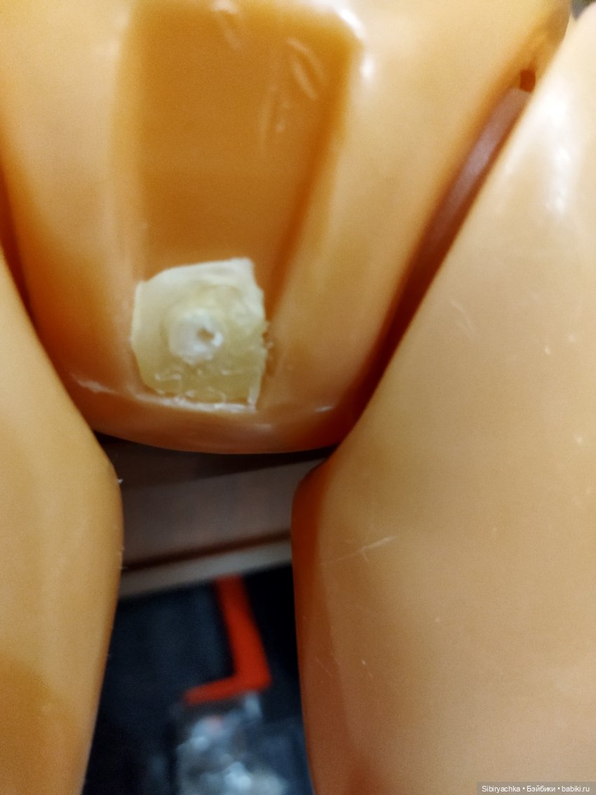 Начало новой жизни у Даши