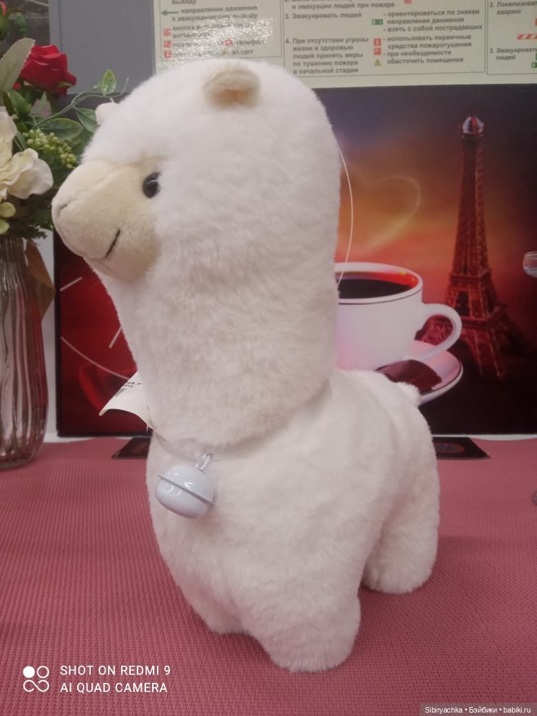 Новые впечатления Лизоньки