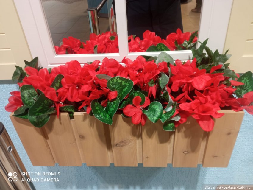 Новые впечатления Лизоньки