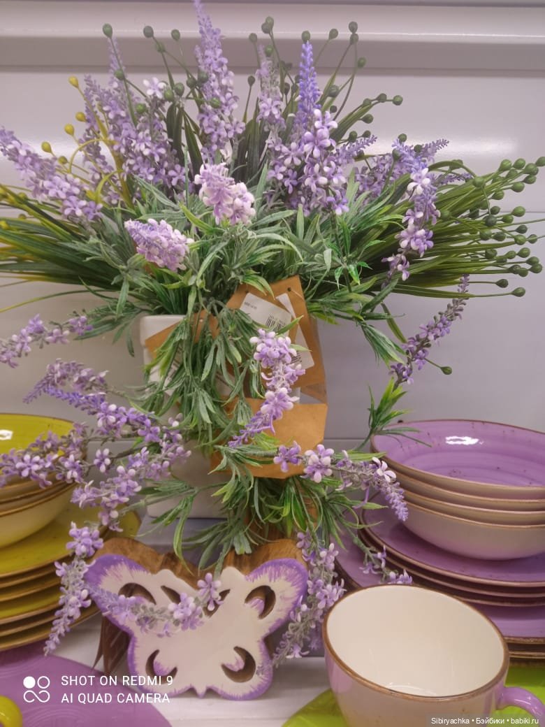 Новые впечатления Лизоньки