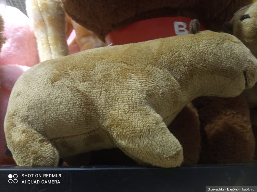 Новые впечатления Лизоньки