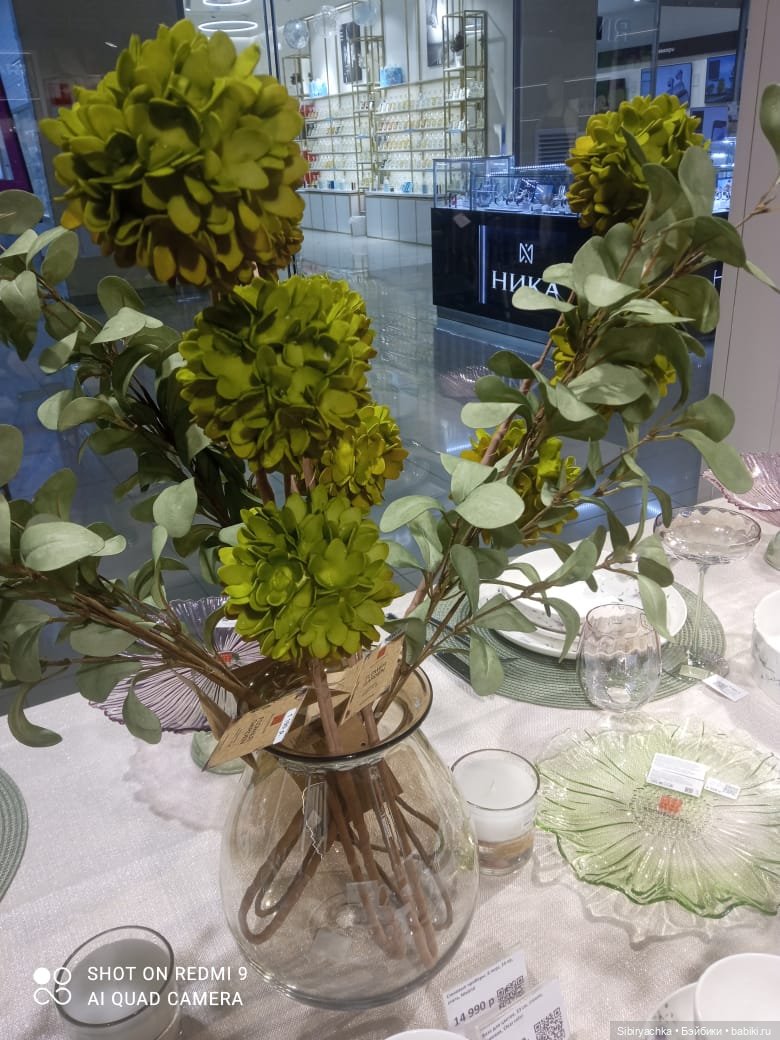 Новые впечатления Лизоньки