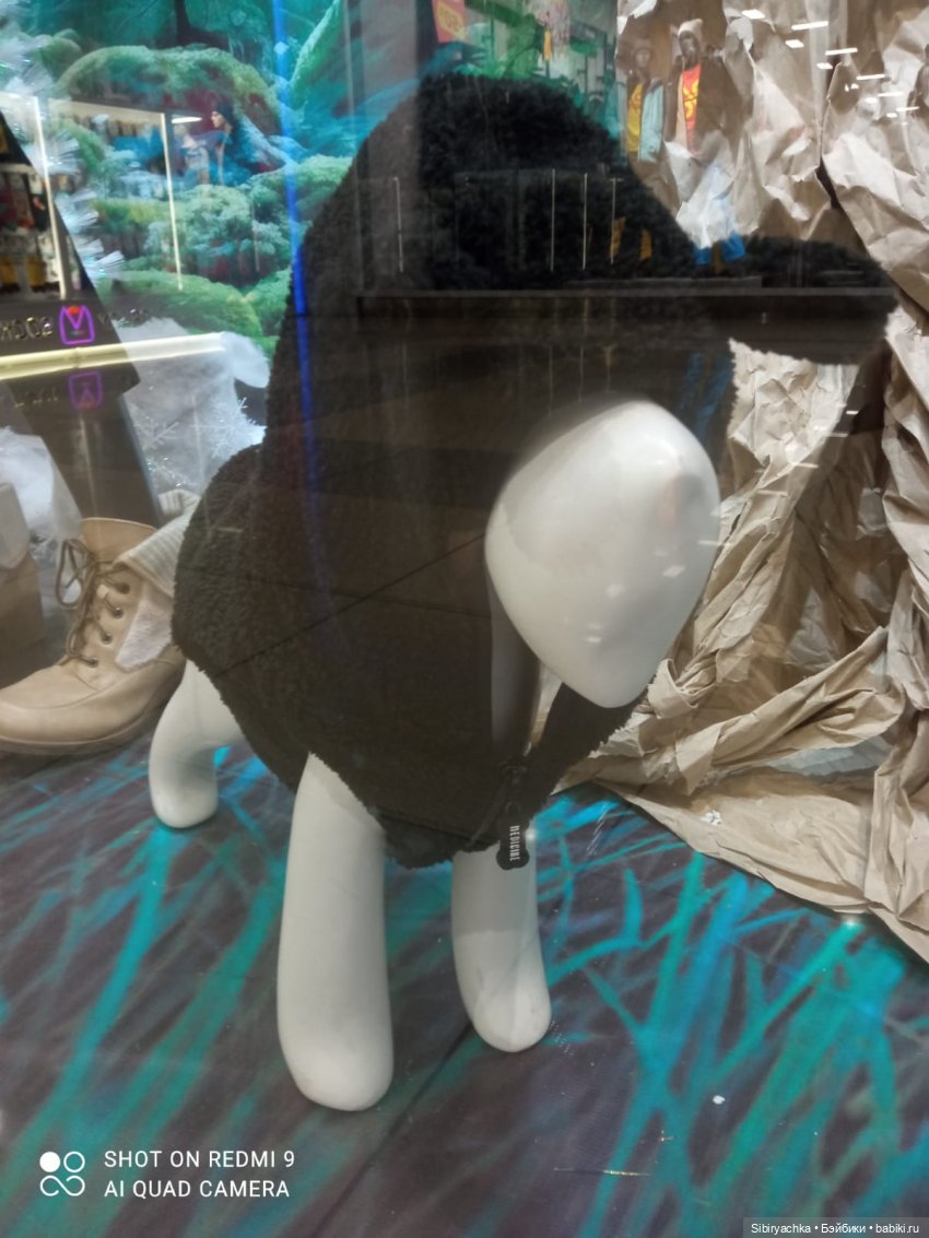 Новые впечатления Лизоньки