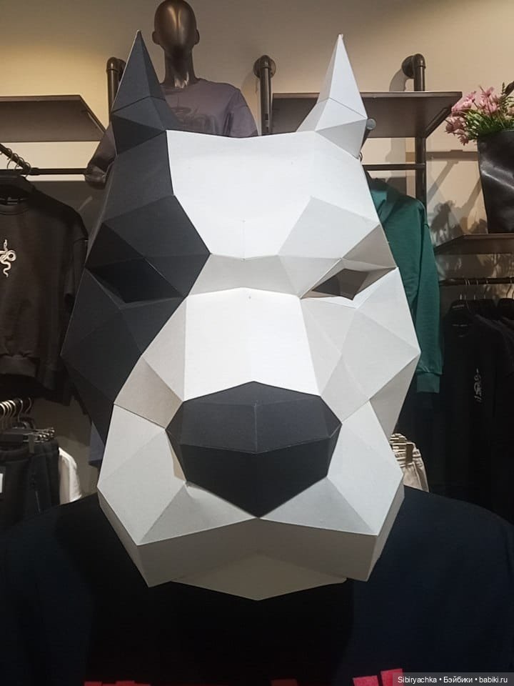 Новые впечатления Лизоньки