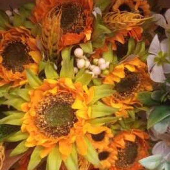 Новые впечатления Лизоньки.