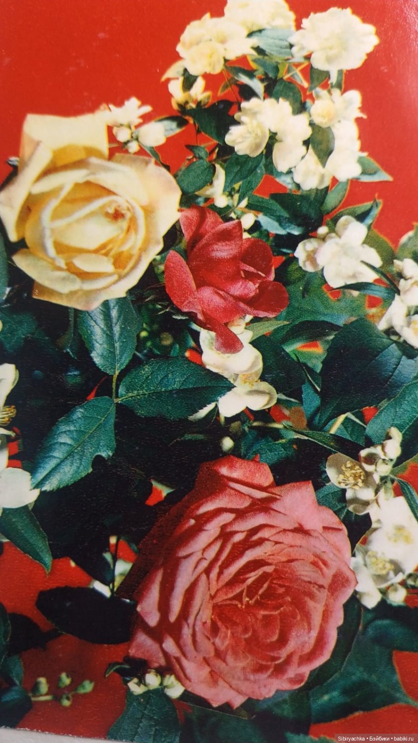 Розы для отличного настроения