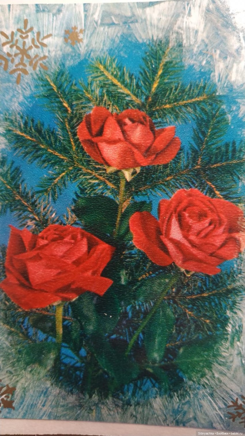 Розы для отличного настроения (фото 6)