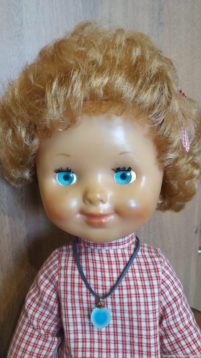 Рыжики из Днепропетровска (фото 5)