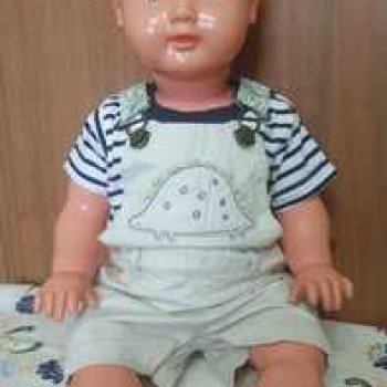 Голландский малыш.