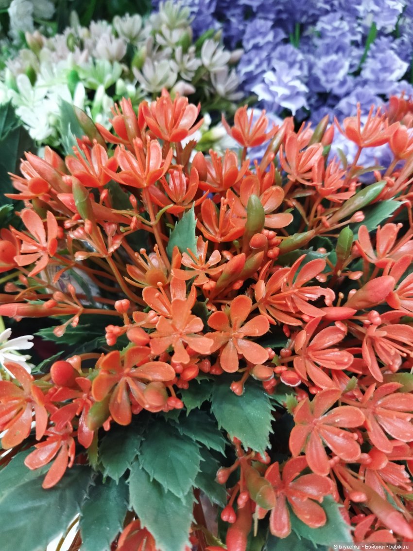 Вкусная, полезная и интересная суббота