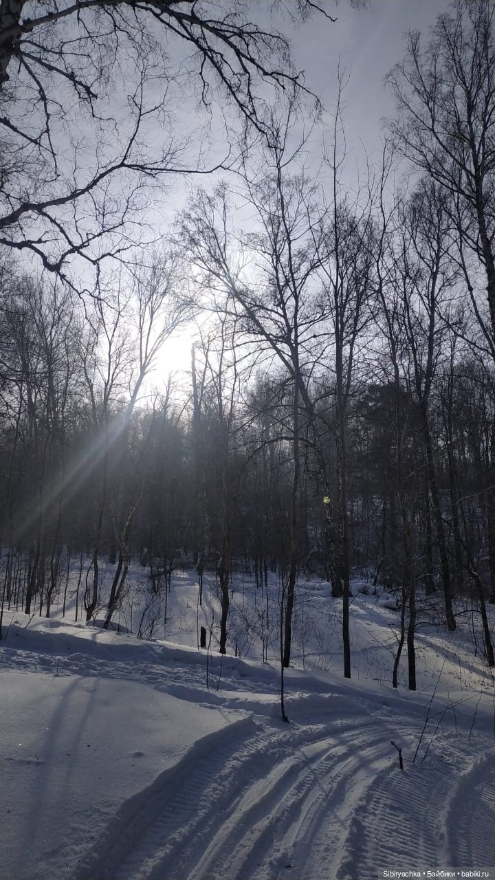 Близнецы Вася и Тася на прогулке в лесу (фото 4)
