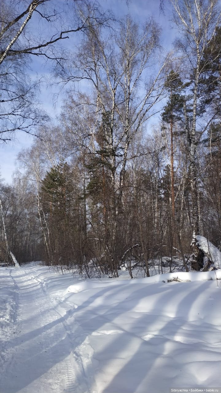 Близнецы Вася и Тася на прогулке в лесу