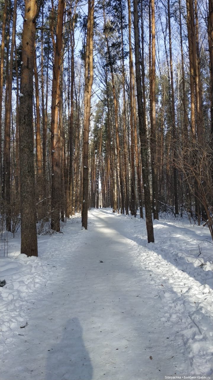 Близнецы Вася и Тася на прогулке в лесу (фото 2)