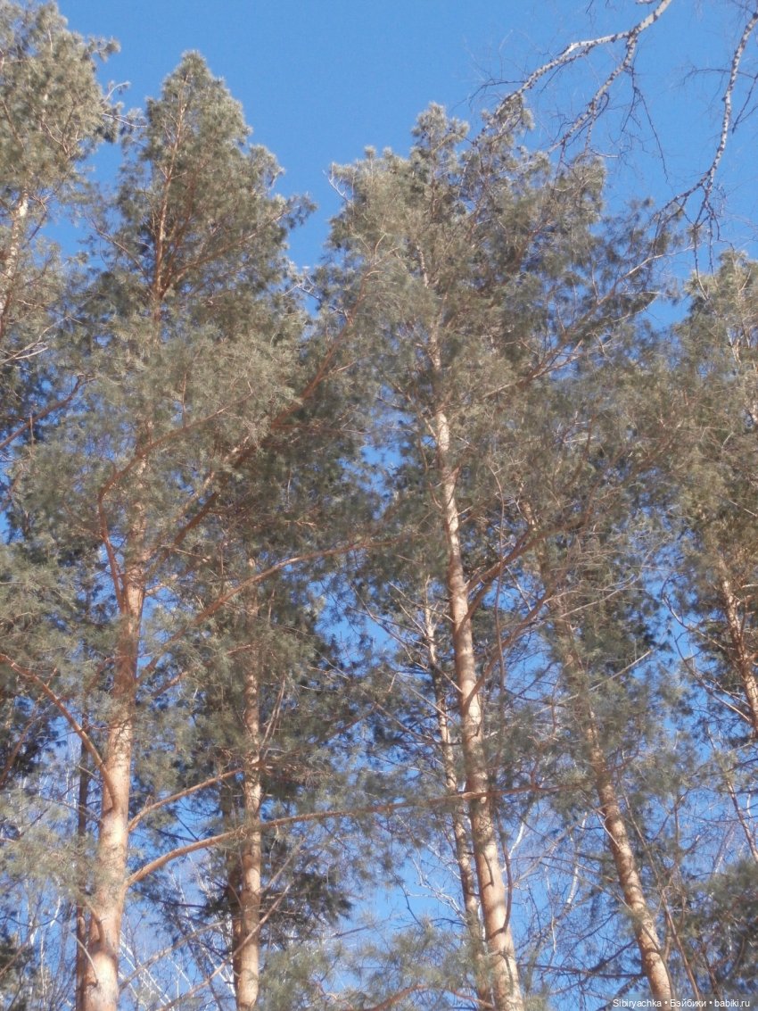 Снегурочка — Российские куклы Весна (фото 2)