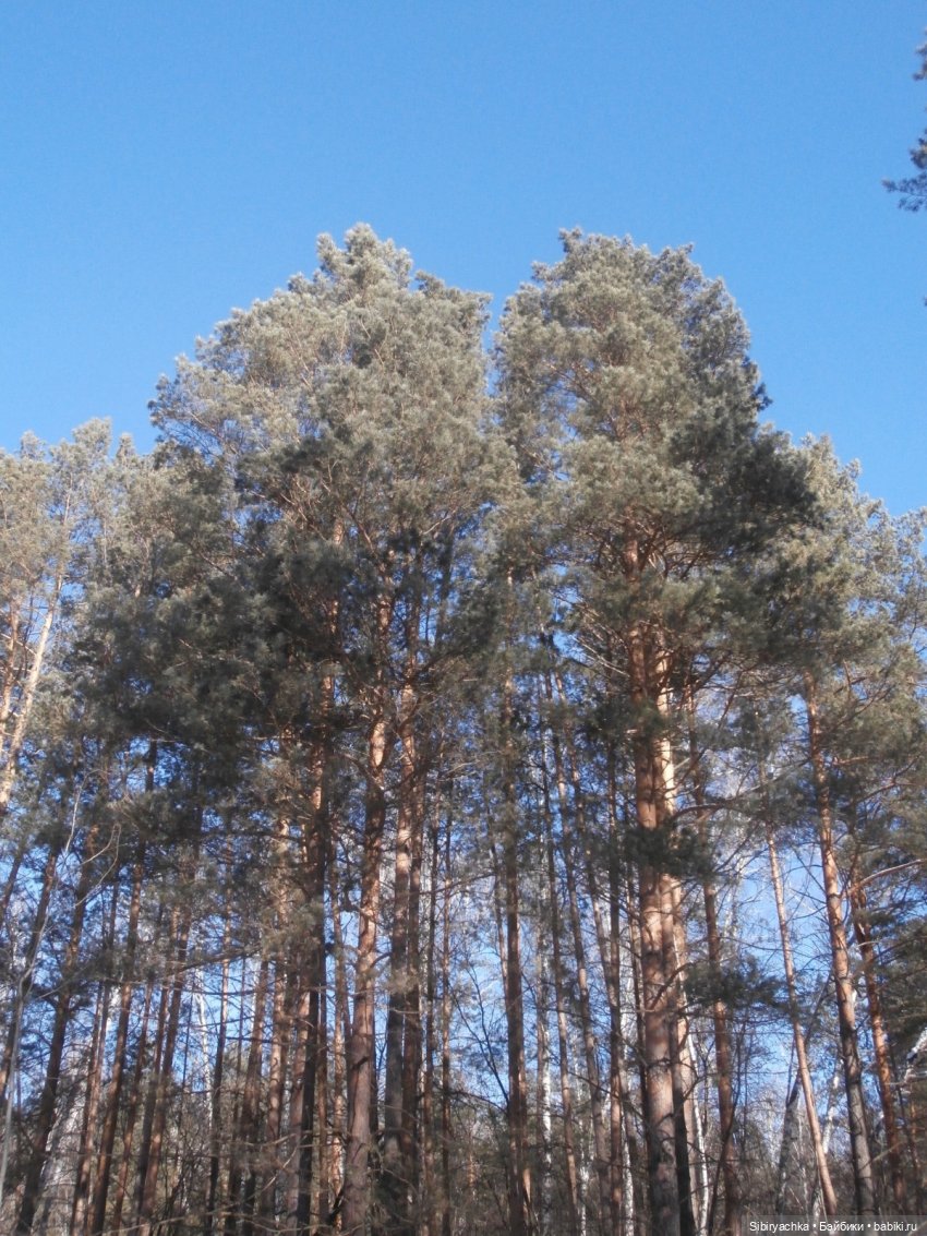 Снегурочка — Российские куклы Весна