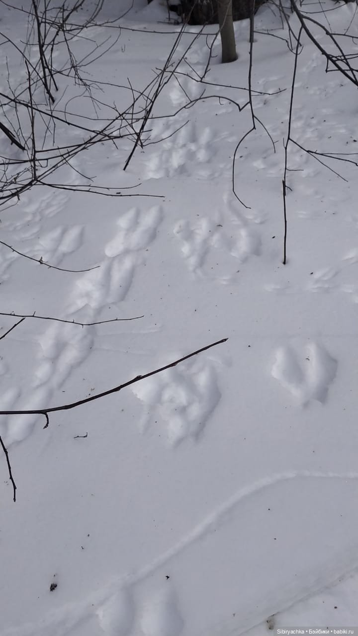 Рыжеволосая незнакомка — Советские винтажные куклы (СССР): Ленигрушка