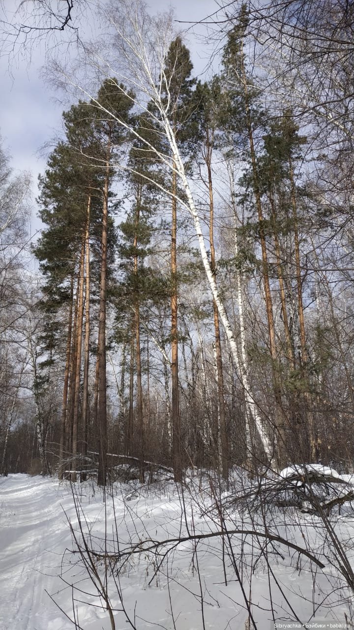 Рыжеволосая незнакомка — Советские винтажные куклы (СССР): Ленигрушка