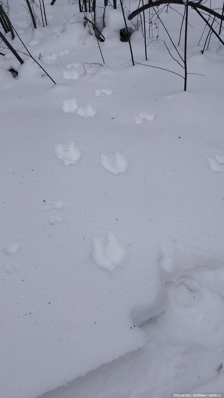 Рыжеволосая незнакомка — Советские винтажные куклы (СССР): Ленигрушка