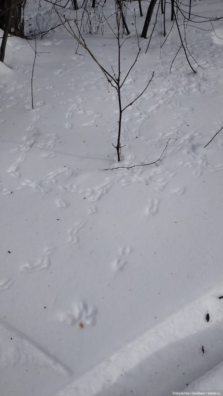 Рыжеволосая незнакомка — Советские винтажные куклы (СССР): Ленигрушка