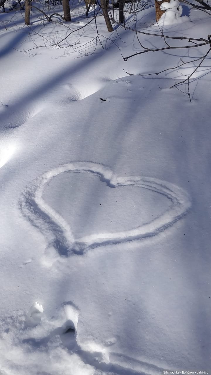 Аннушка отправилась в лес на поиски весны (фото 6)