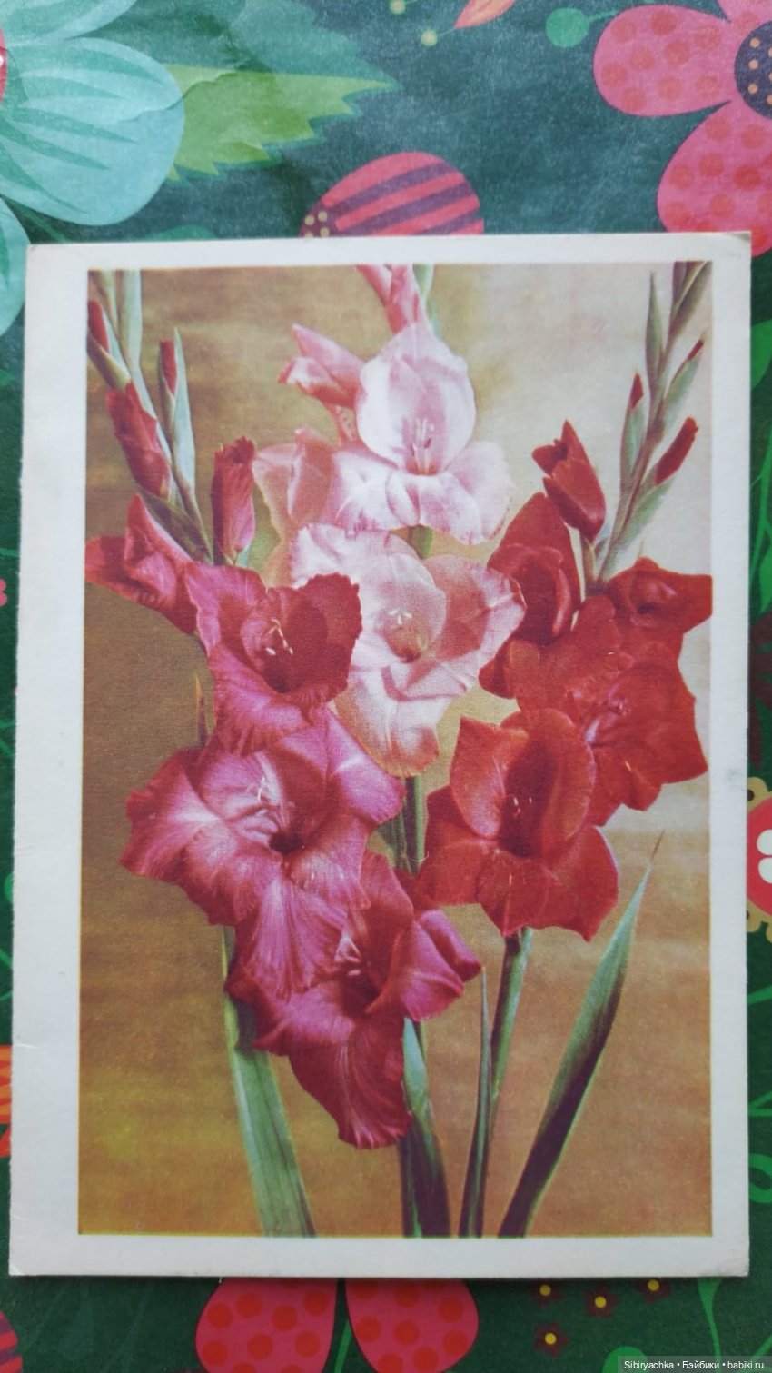 Открытки к 8 марта из альбома бабушки. Часть I