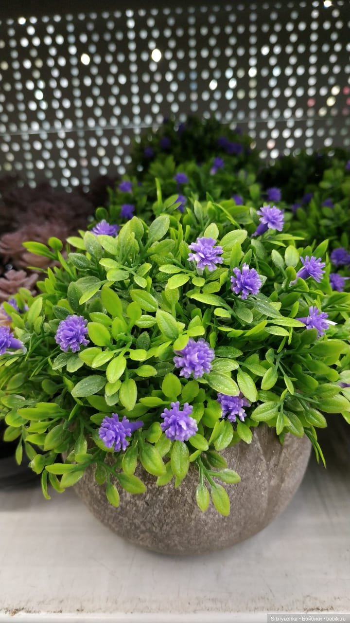 Глаша в цветочном отделе — Игровые куклы разных производителей (Разное): редкие бренды (фото 5)