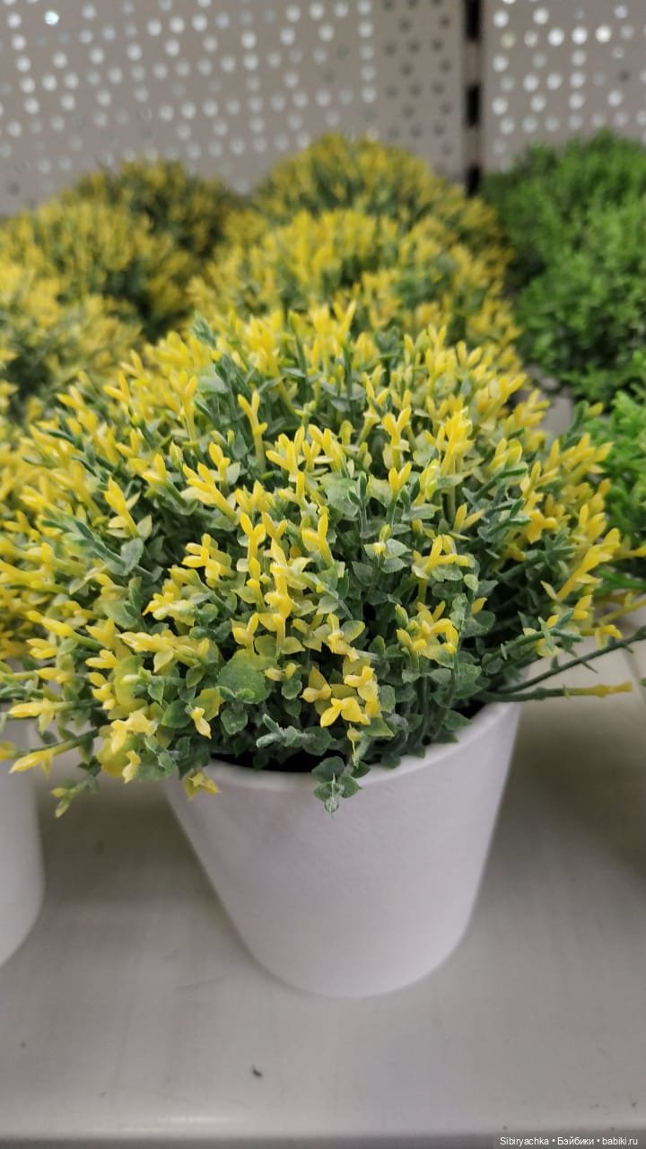 Глаша в цветочном отделе — Игровые куклы разных производителей (Разное): редкие бренды