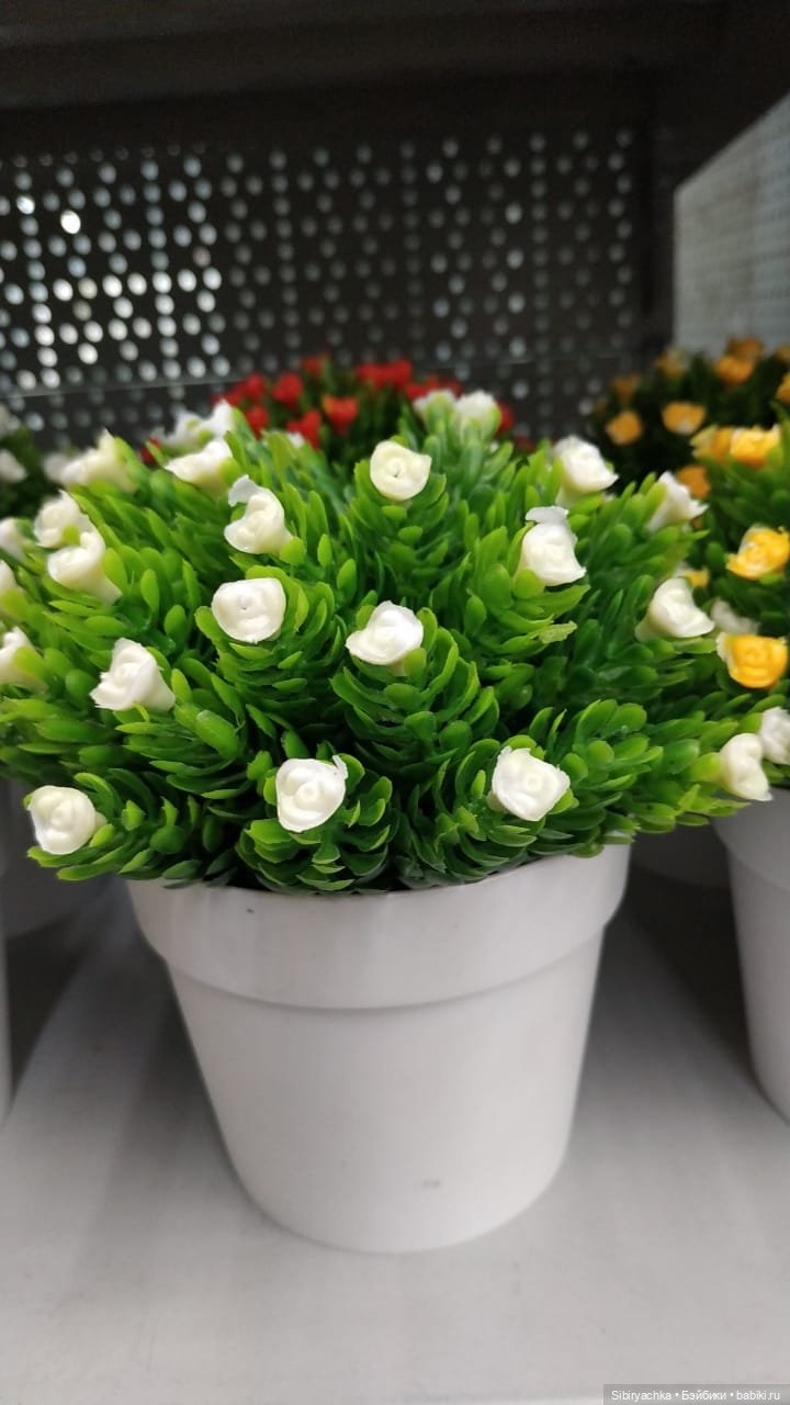 Глаша в цветочном отделе — Игровые куклы разных производителей (Разное): редкие бренды (фото 9)