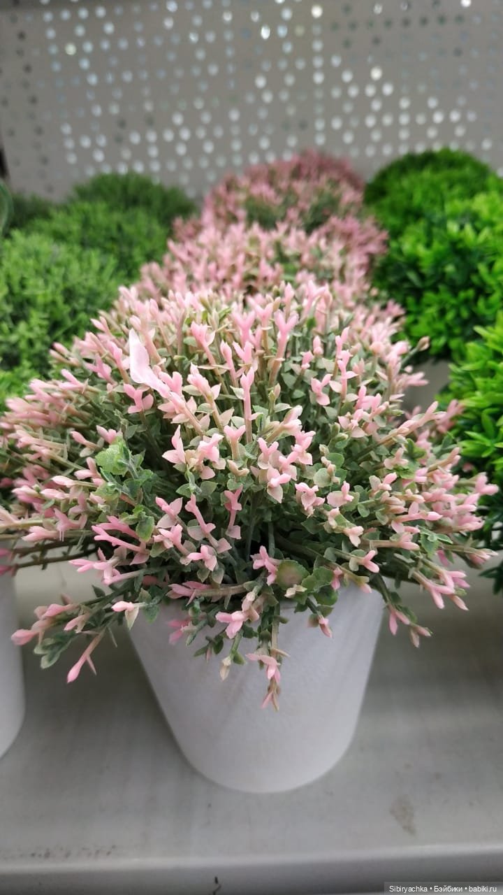 Глаша в цветочном отделе — Игровые куклы разных производителей (Разное): редкие бренды