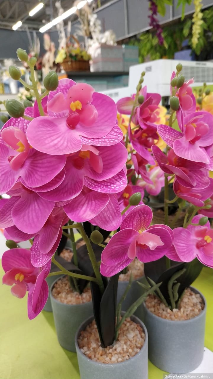 Глаша в цветочном отделе — Игровые куклы разных производителей (Разное): редкие бренды